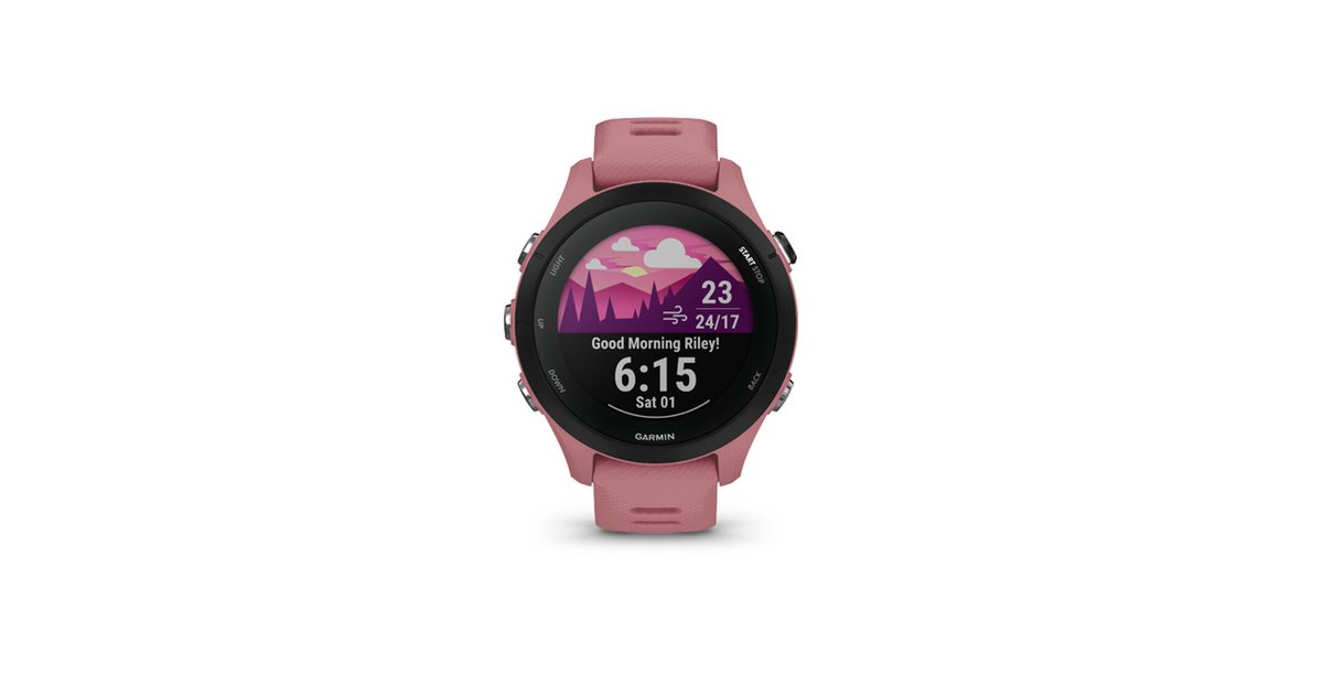 garmin 4s pink
